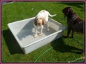NoraPool01-08-11