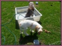 NoraPool27-06-11