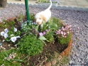 NoraPretty17-04-11