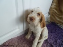 NoraPretty27-04-11