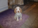 NoraSit16-04-11