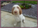 NoraSit20-07-11