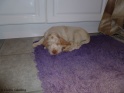 NoraSleep16-04-11