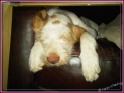 NoraSleep18-06-11