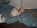 NoraSleep21-04-11