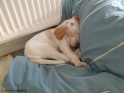 NoraSleeping18-04-11