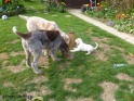 NoraSpins17-04-11