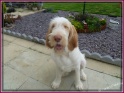 NoraSquint20-07-11