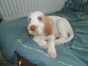 NoraSweet27-04-11
