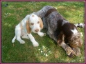 NoraToy06-05-11