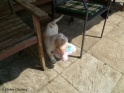 NoraToy20-04-11