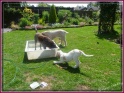 NoraWaterFun27-06-11