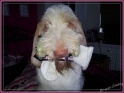 20120927_100706