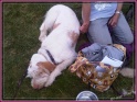 IMG01489-20120826-1225