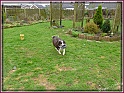 19-02-11_P1000130_Ava4thBday