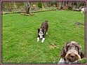 19-02-11_P1000132_Ava4thBday