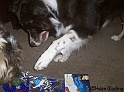 Presents25-12-09_10