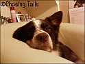 Tia15-02-07