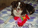 TiaBestBdayToy10-08-06