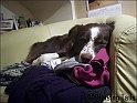 TiaChair03-07-08