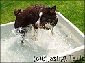 TiaInPoolJump08-06-06