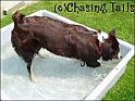 TiaInPoolSplash08-06-06