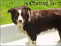 TiaInPoolWet08-06-06