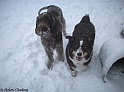 TiaMayaSnow19-12-10