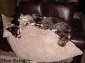 TiaMayaSofa06-02-09