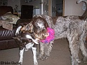 TiaToy08-11-09