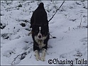 TiaWalkInShow08-02-07_1