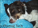 Tia11-10-05