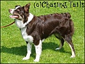 Tia24-04-05