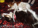 TiaAndMyCousinsDogToby29-12-05