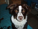 TiaHead17-08-05