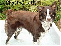 TiaInPool24-06-05