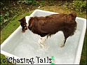 TiaInPoolSplash24-06-05