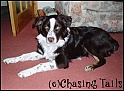 TiaInRoom30-01-05