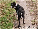 TiaOnWalk-1stJan05