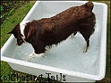 TiaPool24-06-05
