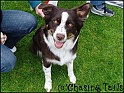TiaSit2-24-04-05