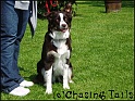 TiaSit24-04-05