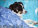 TiaSleep12-06-05