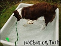 TiaSplashes24-06-05