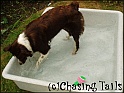 TiaSplashing24-06-05