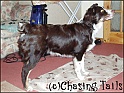 TiaStand08-02-05