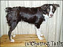 TiaStand09-02-05