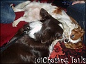 TiaWithMyCousinsDogToby29-12-05