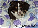 TiaWithToy14-12-05