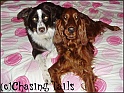 LaylaTiaBest22-01-06